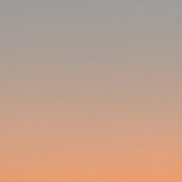 Meet your Posher, Benny - Picture 1 of 1